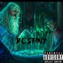 Destiny (feat. Fetti Guwop) [Explicit]