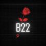 B22 (feat. S9) [Explicit]