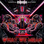 What We Mean (Explicit)