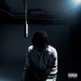 Birds (Explicit)