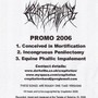 Promo 2006