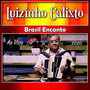 Brasil Encanto Com Luizinho Calixto Ao Vivo - 2020