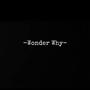 Wonder Why (Explicit)