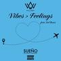 Vibes > Feelings (feat. Sal Roses) [Explicit]