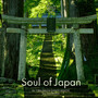 SOUL OF JAPAN (feat. HIMEKAMI)