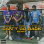 Cant Go Back (feat. Massivo & Yvng VV) [Remix] [Explicit]