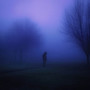 anemoia