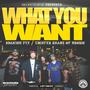 What You Want (feat. Lighter Shade of Brown, ODM & Money Moons) [Explicit]