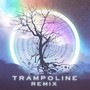 Trammpoline (Remix)