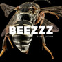 Beezzz