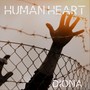 Human Heart