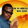 System Ya Mbegu