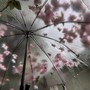 有问无答便是答案
