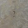 what of it? (Explicit)