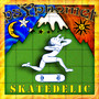 Skatedelic