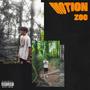 MOTION (Explicit)