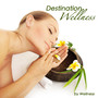 Destination Wellness: Calming, Relaxing and Sleeping Music, New Age Soundscapes