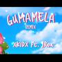 Gumamela (feat. John Roa) [Remix]