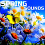 Spring Sounds (feat. Baby Sleep Pink Noise, Universal Soundscapes, White Noise, Nature Scapes TV, Deep Sleep Collection & Ultra Brown Noise Sounds) (feat. Baby Sleep Pink Noise, Universal Soundscapes, White Noise, Nature Scapes TV, Deep Sleep Collection &