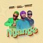 Nyange