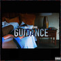 Guidance (Explicit)