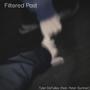 Filtered Past (feat. Peter Sumner)