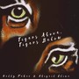 Tigers Above, Tigers Below (feat. David McCarthy)