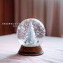 Snowglobe