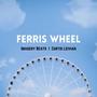 Ferris Wheel (feat. Ant Candy)