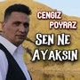 Sen Ne Ayaksın