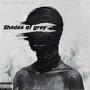 Shades Of Grey (Explicit)