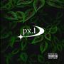 px.1 (Explicit)