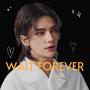 Wait Forever