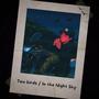 Two birds / In the Night Sky (Explicit)