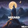 Wizard