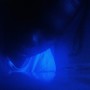 BANDICOOT (Explicit)