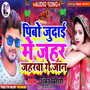 Pibo Judai Me Jahar Jahrwa Ge Jaan