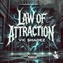 LAW OF ATTRACTION (Explicit)