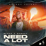 Need a Lot (Explicit)