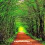 Capitulation: Reworks