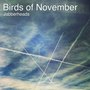 Birds of November