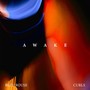 Awake