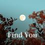 Find You (feat. Teazoid & Arslan Zhaparov)