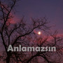 Anlamazsın