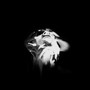 Dissolve (Original)