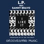 I LIke It (feat. Sammy Bravo) [Explicit]