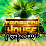 Tropical House Perfection