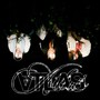 ⱯTLAS