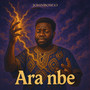 Ara Nbe