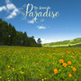 The Spring of Paradise